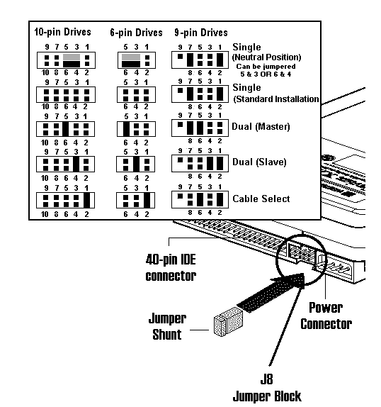 wd-pata-jumpers.png