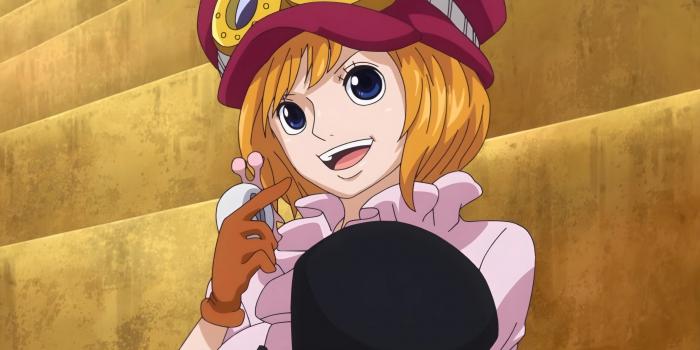 eb936_koalaonepiece.jpg