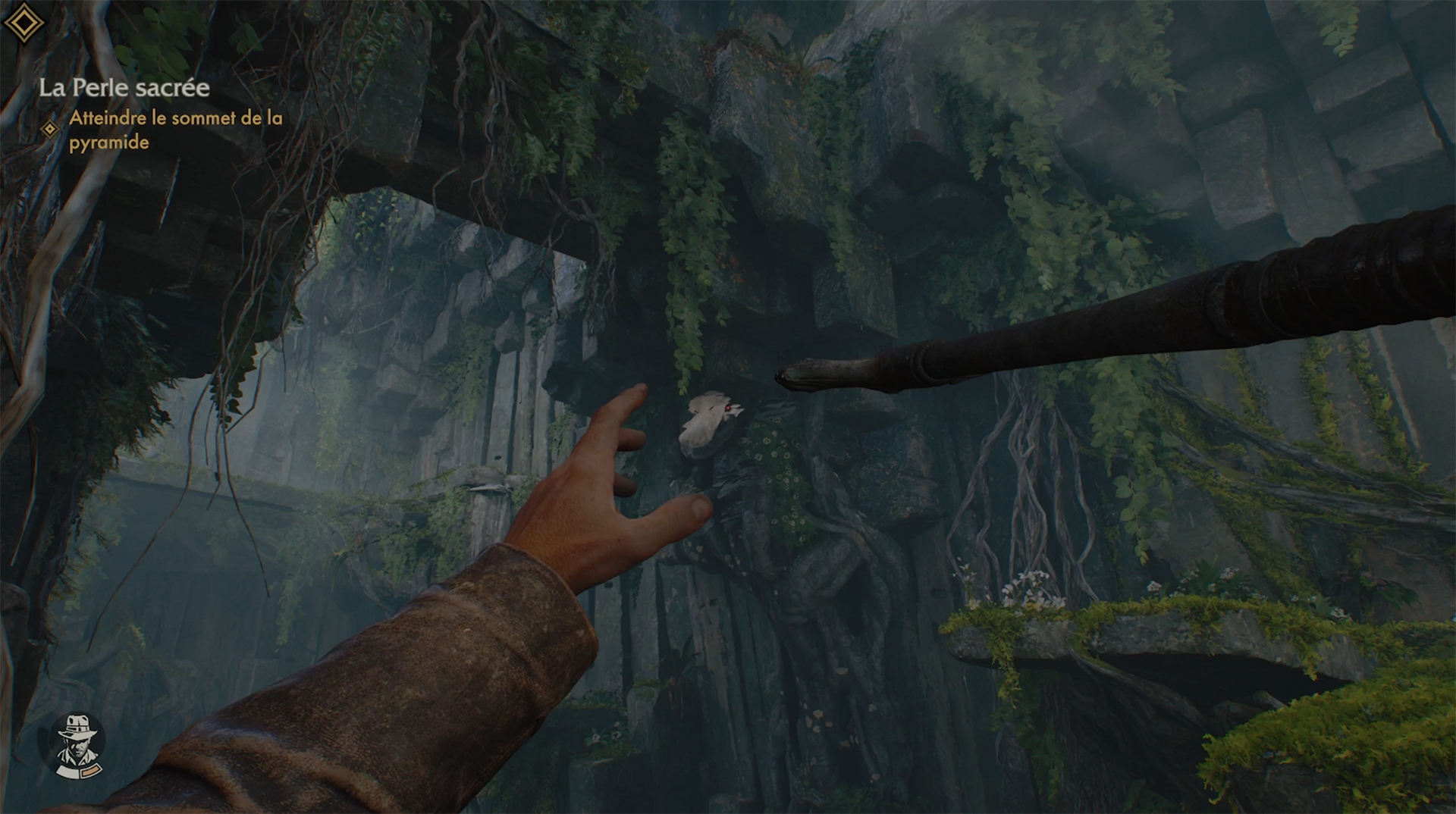 test-indiana-jones-cercle-ancien-03.jpg