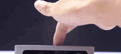 giphy.gif